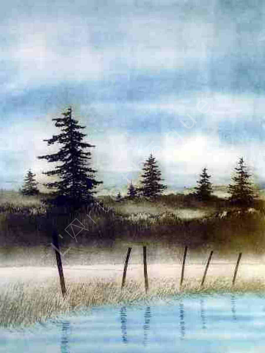Les marais