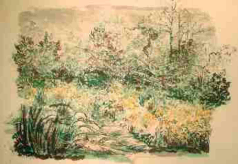 Golden Rod
