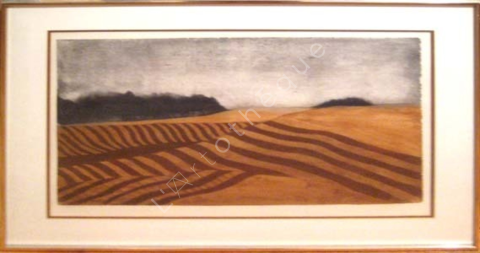 Field