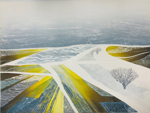 Prairie Winter VI