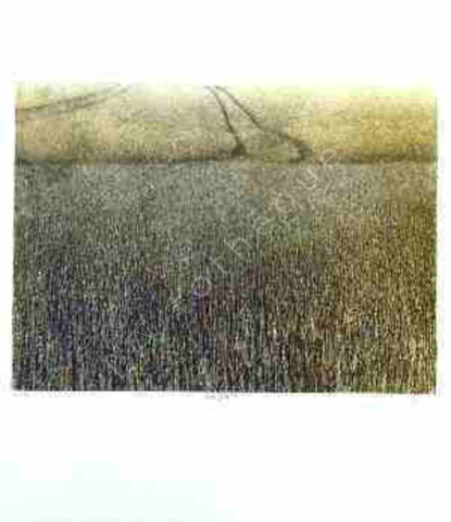 Womfeld II