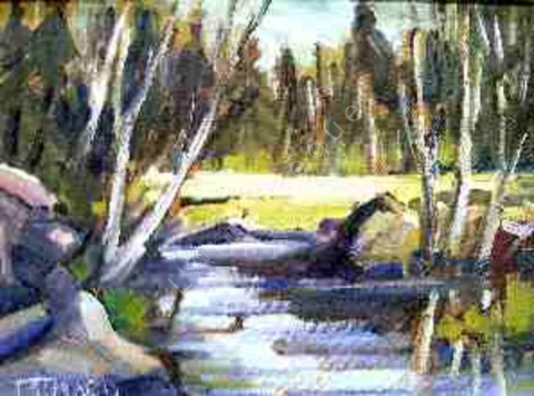 Petit ruisseau de St-Ferréol