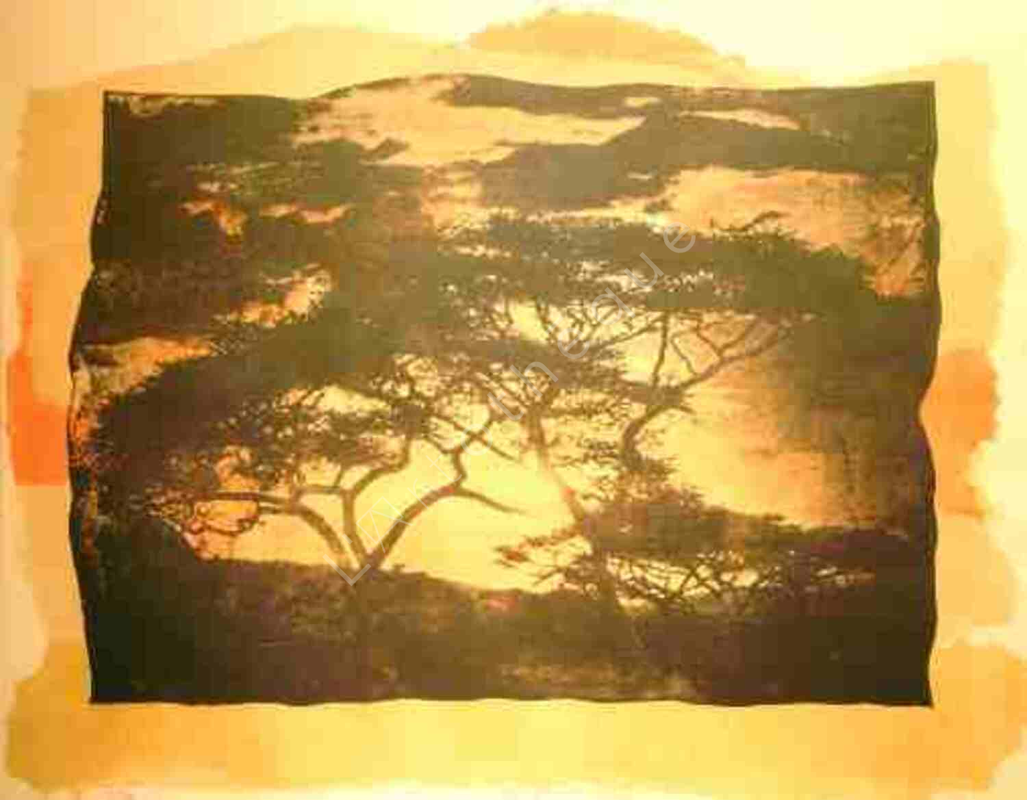 View from the Mountain