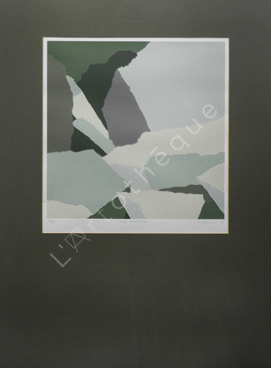 Rock Landscape