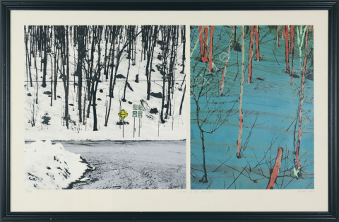 La belle au bois dormant
